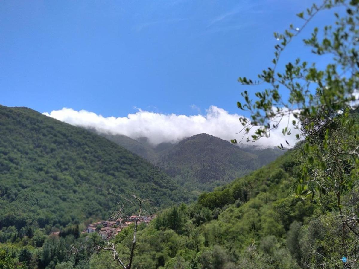 La Cantina Del Sole Riccò del Golfo di Spezia Buitenkant foto
